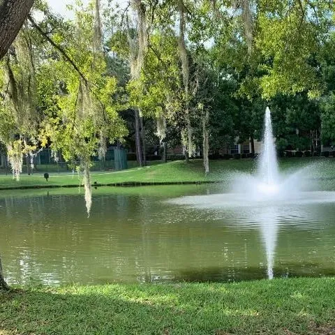 thumbnail for publication: Stormwater Pond Management: What You Need to Know about Aeration